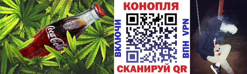 Купить закладки  Терек  Cannafood конопля 