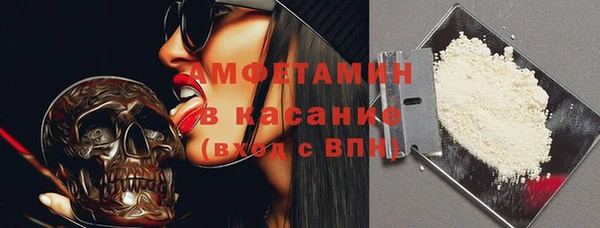 твердый Арсеньев