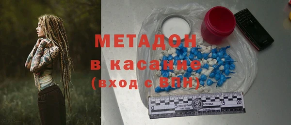 хмурый Аркадак