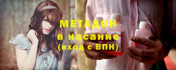 хмурый Аркадак