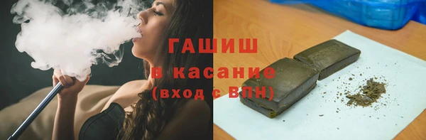 хмурый Аркадак