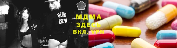 хмурый Аркадак