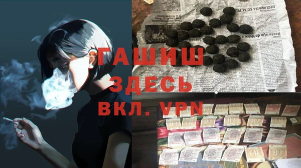 хмурый Аркадак