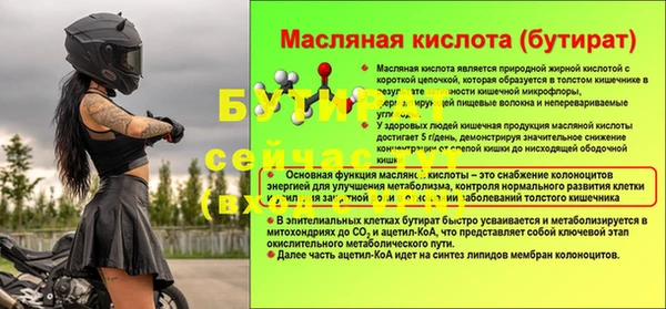 хмурый Аркадак