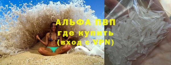 хмурый Аркадак