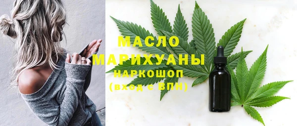 хмурый Аркадак