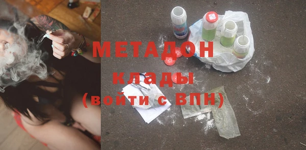 хмурый Аркадак