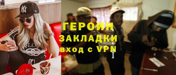 хмурый Аркадак