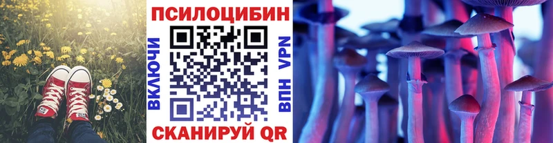 Псилоцибиновые грибы Magic Shrooms  Купить  Терек 