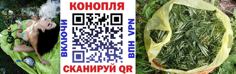 Купить где Терек Конопля LSD WEED